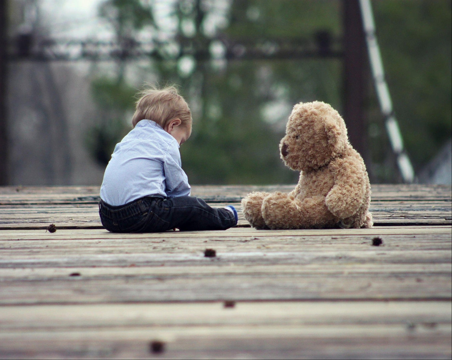 baby and teddy bear together on a bridge background